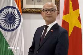 Đại sứ Việt Nam được bổ nhiệm tại Ấn Độ kiêm nhiệm Nepal và Bhutan Trịnh Minh Mạnh. (Ảnh: TTXVN phát)