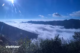 Nằm cách thủ đô Hà Nội khoảng 200km, Tà Xùa (Sơn La) được mệnh danh là một trong những “thiên đường săn mây” đẹp bậc nhất vùng núi phía Bắc. (Ảnh: Hồng Hạnh/Vietnam+)