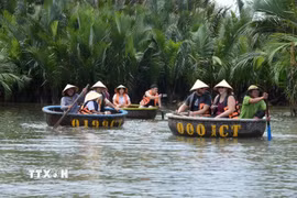 Du khách đến tham quan rừng dừa Bảy Mẫu, phường Hội An Đông, Đà Nẵng. (Ảnh: Hải Âu/TTXVN)