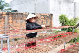 Từ bàn tay người thợ, cây dó bầu được "đánh thức" thành nhiều sản phẩm đa dạng như trầm cảnh mỹ nghệ và nhang trầm. (Ảnh: Đặng Tuấn/TTXVN)