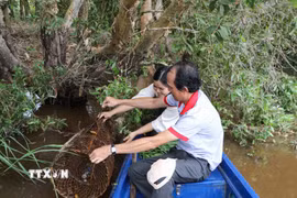 Du khách trải nghiệm đặt lờ tại Khu du lịch Tràm Chim mùa nước nổi. (Ảnh: Hồng Thái/TTXVN)
