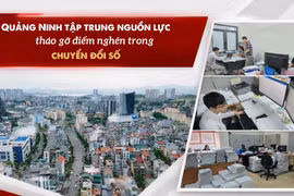 Quảng Ninh tập trung nguồn lực, tháo gỡ điểm nghẽn trong chuyển đổi số