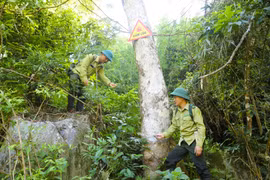 Lực lượng kiểm lâm Khu Bảo tồn Thiên nhiên Pù Huống phát quang bụi rậm, lau lách, dây leo tại điểm có biển báo cấm lửa. (Ảnh: Xuân Tiến/TTXVN)