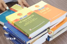 Bộ luật Tố tụng dân sự năm 2015. (Ảnh: Hồng Đạt/TTXVN)
