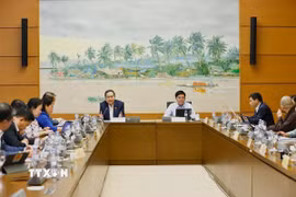 Chủ tịch Quốc hội Trần Thanh Mẫn, đại biểu Quốc hội thành phố Cần Thơ phát biểu. (Ảnh: Doãn Tấn/TTXVN)