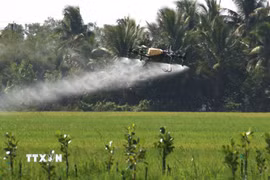 Nông nghiệp hiện đại được xác định là một trong những hướng hợp tác triển vọng trong thời gian tới. (Ảnh: Duy Khương/TTXVN)