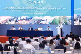 Hội nghị Hội đồng điều phối vùng Đông Nam Bộ lần thứ 6 và Ban Chỉ đạo thực hiện Nghị quyết số 98. (Ảnh: Dương Giang/TTXVN)