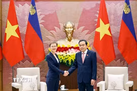 Chủ tịch Quốc hội Trần Thanh Mẫn hội kiến Thủ tướng Công quốc Liechtenstein Brigitte Haas. (Ảnh: Doãn Tấn/TTXVN)
