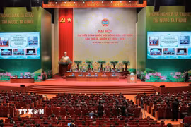 Phiên khai mạc trọng thể Đại hội Đại biểu toàn quốc Hội Nông dân Việt Nam lần thứ IX. (Ảnh: Lê Đông/TTXVN)