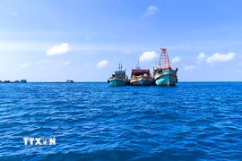 Các tàu khai thác thủy sản neo đậu ngoài khơi vùng biển Tây Nam. (Ảnh: Chanh Đa/TTXVN)