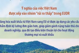 Quy định chống phá rừng của EU: Việt Nam nằm trong nhóm “rủi ro thấp” 