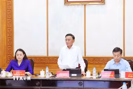 Đồng chí Trần Cẩm Tú, Ủy viên Bộ Chính trị, Thường trực Ban Bí thư phát biểu chỉ đạo cuộc họp. (Ảnh: Phương Hoa/TTXVN)