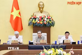 Chủ tịch Quốc hội Trần Thanh Mẫn phát biểu. (Ảnh: Doãn Tấn/TTXVN)
