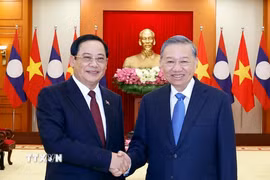 Tổng Bí thư, Chủ tịch nước Tô Lâm tiếp Thủ tướng Lào Sonexay Siphandone. (Ảnh: Thống Nhất/TTXVN)