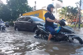  (Ảnh minh họa. Văn Điệp/TTXVN)