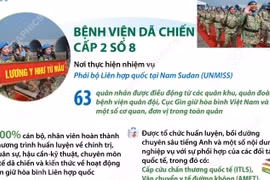 Bệnh viện dã chiến cấp 2 số 8 và Đội Công binh số 5 lên đường gìn giữ hòa bình 