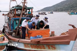 Chủ phương tiện tàu cá ký cam kết không vi phạm khai thác IUU. (Ảnh: TTXVN phát)