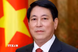 Chủ tịch nước Lương Cường. (Ảnh: Lâm Khánh/TTXVN)