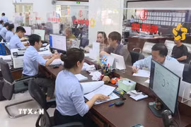 Dù áp lực hồ sơ tăng vọt (với lượng hồ sơ trực tuyến đạt 7.800 hồ sơ và hơn 200.000 hồ sơ chứng thực), các công chức phường Phú Nhuận vẫn dành sự quan tâm đặc biệt cho người già yếu, người khuyết tật. (Ảnh: Hữu Duyên/ TTXVN)