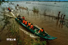 Cán bộ, chiến sỹ đồn Biên phòng Vĩnh Nguơn (Ban Chỉ huy Bộ đội Biên phòng tỉnh An Giang) phối hợp các lực lượng tuần tra kiểm soát biên giới trong mùa nước nổi. (Ảnh: Công Mạo/TTXVN)