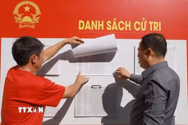 Cử tri phường Nam Nha Trang, tỉnh Khánh Hòa xem danh sách cử tri niêm yết tại khu vực bỏ phiếu bầu cử. (Ảnh: Xuân Triệu/TTXVN)