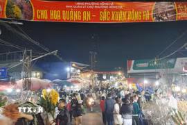 Chợ hoa Quảng An đông đúc những ngày giáp Tết. (Ảnh: Nguyễn Cúc/TTXVN)