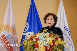 Ủy viên Trung ương Đảng, Phó Chủ tịch Quốc hội Nguyễn Thị Hồng phát biểu tại hội thảo. (Ảnh: Đỗ Bình/TTXVN)