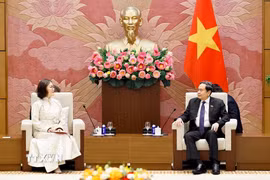Chủ tịch Quốc hội Trần Thanh Mẫn tiếp xã giao Đại sứ đặc mệnh toàn quyền Mông Cổ tại Việt Nam Ganbaatar Hulan. (Ảnh: Doãn Tấn/TTXVN)