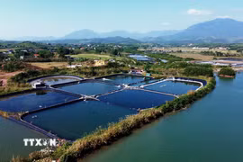 Vùng nuôi trồng thủy sản tại xã Đường Hoa (Quảng Ninh). (Ảnh: Đức Hiếu/TTXVN)