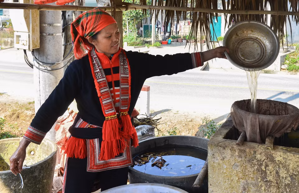  Chất keo kết dính được hòa trộn với nước và bột cây vầu non. (Ảnh: Nam Thái/TTXVN)