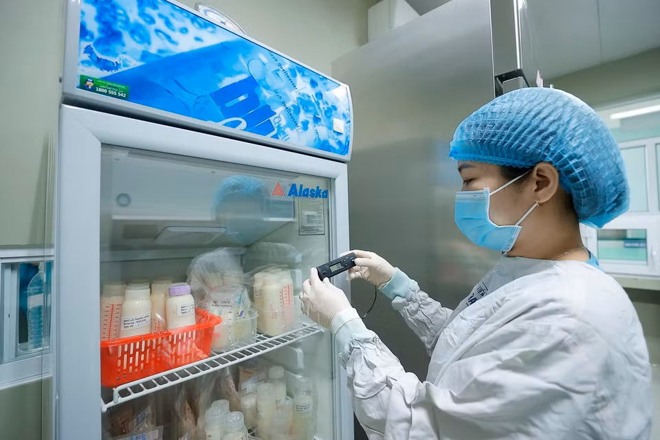 Sữa đã qua sàng lọc được bảo quản ở nhiệt độ phù hợp trước khi thanh trùng. (Ảnh: Minh Quyết/TTXVN)