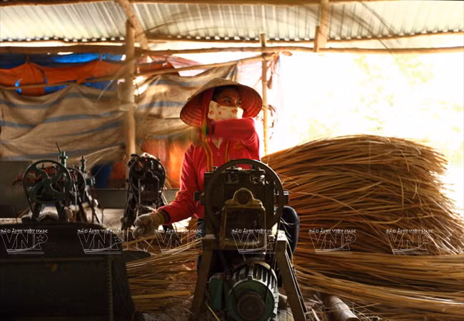 Máy móc đã giúp các hộ gia đình ở Thái Mỹ tăng năng suất sản phẩm so với phương pháp thủ công trước đây.