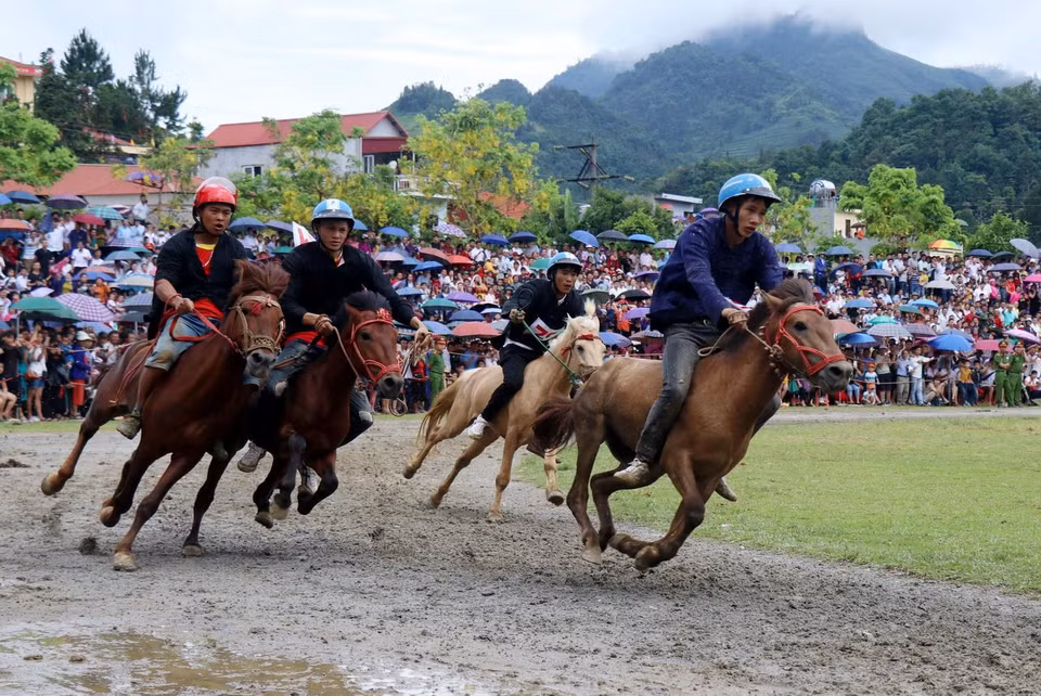 Giải đua ngựa diễn ra sôi động, hấp dẫn người xem, bởi những chú ngựa thồ và những 'kị sỹ' so tài quyết liệt, mang tinh thần thượng võ của đồng bào các dân tộc thiểu số vùng cao Tây Bắc. (Ảnh: Quốc Khánh/TTXVN)
