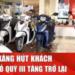 Xe máy xăng tiếp tục hút khách tại thị trường Việt Nam