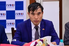 Tham tán Thương mại, Trưởng Thương vụ Việt Nam tại Ấn Độ Bùi Trung Thướng đề xuất nhiều giải pháp. (Ảnh: Vũ Hà/TTXVN)