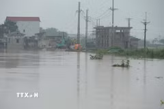 Nước sông Bùi dâng cao. (Ảnh: Hùng Mạnh/TTXVN)