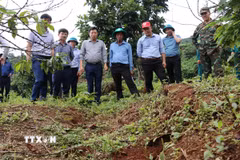 Lãnh đạo tỉnh Lâm Đồng kiểm tra thực tế khu vực sụt lún tại thôn Đắk Snao, xã Quảng Sơn. (Ảnh: Nguyễn Huy Thành/TTXVN)