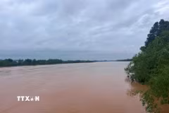 Mực nước lúc 4 giờ ngày 14/9/2026 trên sông Thạch Hãn đo được tại trạm Thạch Hãn là 5,9m, dưới báo động 3 là 0,1m. (Ảnh: Tường Vi/TTXVN)