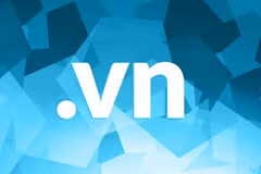Nhiều tên miền ".vn" được đưa ra đấu giá. (Ảnh: Báo Chính phủ)