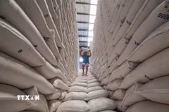 Công nhân bốc vác gạo trong nhà kho của Cơ quan lương thực quốc gia Philippines ở thành phố Valenzuela. (Ảnh: THX/TTXVN)
