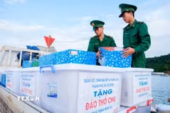 Những phần quà được Đảng bộ, chính quyền và nhân dân Thành phố Hồ Chí Minh chuẩn bị kỹ lưỡng để gửi đến cán bộ, chiến sỹ và nhân dân trên các đảo thuộc vùng biển Tây Nam. (Ảnh: Xuân Anh/TTXVN)