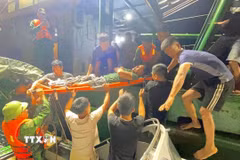 Ngư dân Trần Huy Biên được cán bộ chiến sĩ Đồn Biên phòng Quỳnh Thuận, Bộ đội Biên phòng Nghệ An, cứu hộ, đưa vào bờ cấp cứu an toàn. (Ảnh: TTXVN phát)