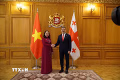 Tổng thống Gruzia Mikheil Kavelashvili tiếp Phó Chủ tịch nước Võ Thị Ánh Xuân đến chào xã giao. (Ảnh: Tâm Hằng/TTXVN)