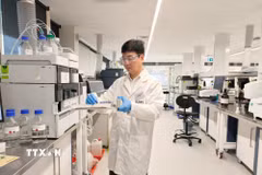 Giáo sư Nghiêm Đức Long – Giám đốc Trung tâm Môi trường và Nước thuộc Đại học Công nghệ Sydney; Chủ tịch Hội Trí thức và Chuyên gia Việt Nam tại Australia (VASEA) - luôn bền bỉ nghiên cứu khoa học trong lĩnh vực mà ông tâm huyết. (Ảnh Trung Trang/TTXVN)