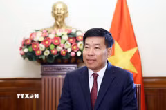 Thứ trưởng Bộ Ngoại giao Nguyễn Mạnh Cường. (Ảnh: An Đăng/TTXVN)