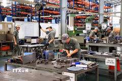 Công nhân làm việc tại Công ty Cơ khí Động lực Toàn Cầu, khu công nghiệp Giang Điền, phường Trảng Bom. (Ảnh: Hồng Đạt/TTXVN)