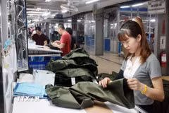 May hàng xuất khẩu sang thị trường EU tại Công ty May TNG (Thái Nguyên). (Ảnh: Trần Việt/TTXVN)