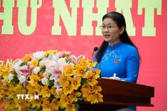 Bà Tôn Ngọc Hạnh, Phó Bí thư Thường trực Tỉnh ủy, Chủ tịch HĐND tỉnh Đồng Nai phát biểu tại kỳ họp. (Ảnh: Sỹ Tuyên/TTXVN)