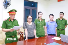 Ra lệnh khởi tố bị can, bắt tạm giam đối với đối tượng Đặng Thị Lý. (Ảnh: TTXVN phát)