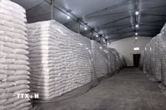 Gạo là một mặt hàng dự trữ Quốc gia tại Điểm kho 7 thuộc Chi cục Dự trữ Nhà nước khu vực III. (Ảnh: Phạm Hậu/TTXVN)